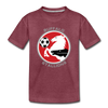 Buffalo Stallions T-Shirt (Youth) - heather burgundy