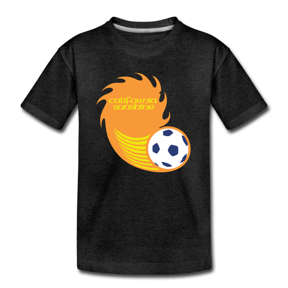 California Sunshine T-Shirt (Youth) - charcoal gray