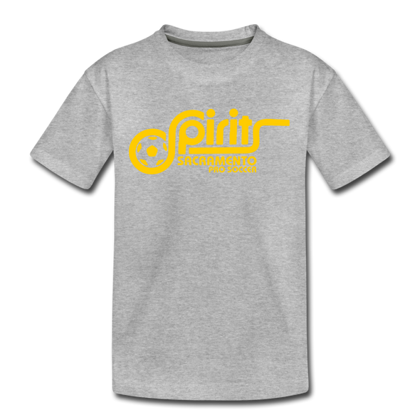 Sacramento Spirits T-Shirt (Youth) - heather gray