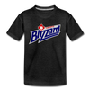 Toronto Blizzard T-Shirt (Youth) - charcoal gray