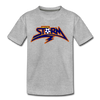 St. Louis Storm T-Shirt (Youth) - heather gray