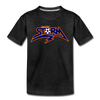 St. Louis Storm T-Shirt (Youth) - charcoal gray