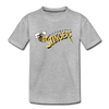 Pittsburgh Stingers T-Shirt (Youth) - heather gray