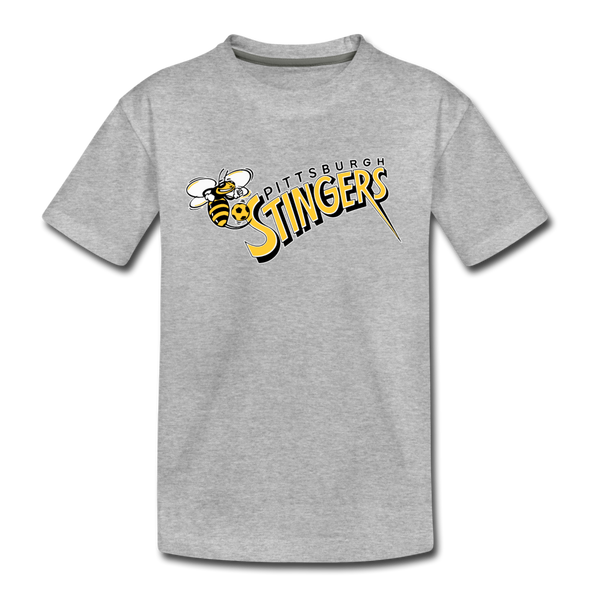 Pittsburgh Stingers T-Shirt (Youth) - heather gray