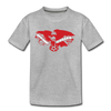 New York Eagles T-Shirt (Youth) - heather gray